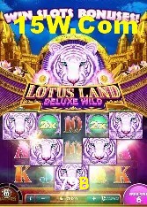 Casino Ao Vivo 79B